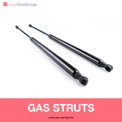 GAS-STRUTS.jpg