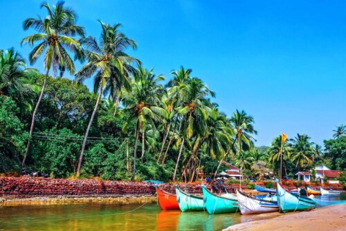Yoga-teacher-training-in-Goa-by-adiyogam-Goa.jpg
